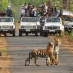 Kinwat Wildlife Sanctuary | K Facts