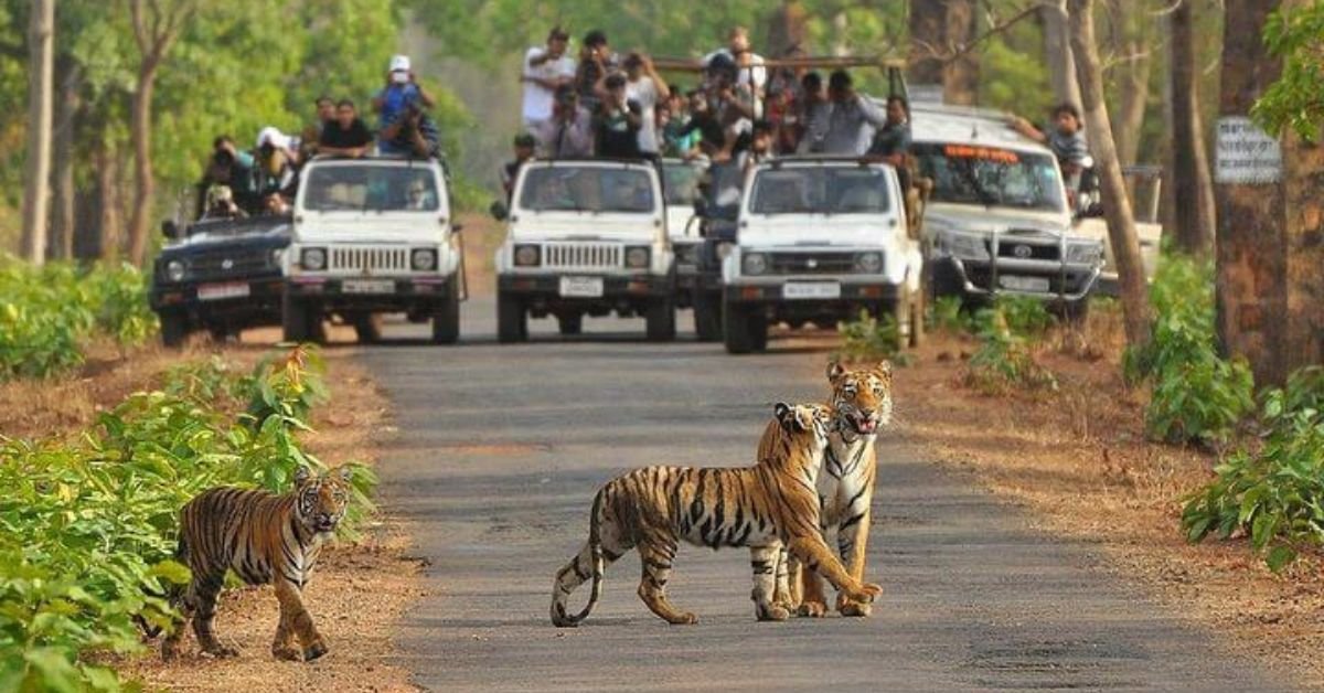 Kinwat Wildlife Sanctuary | K Facts