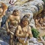 Humans are not from Earth