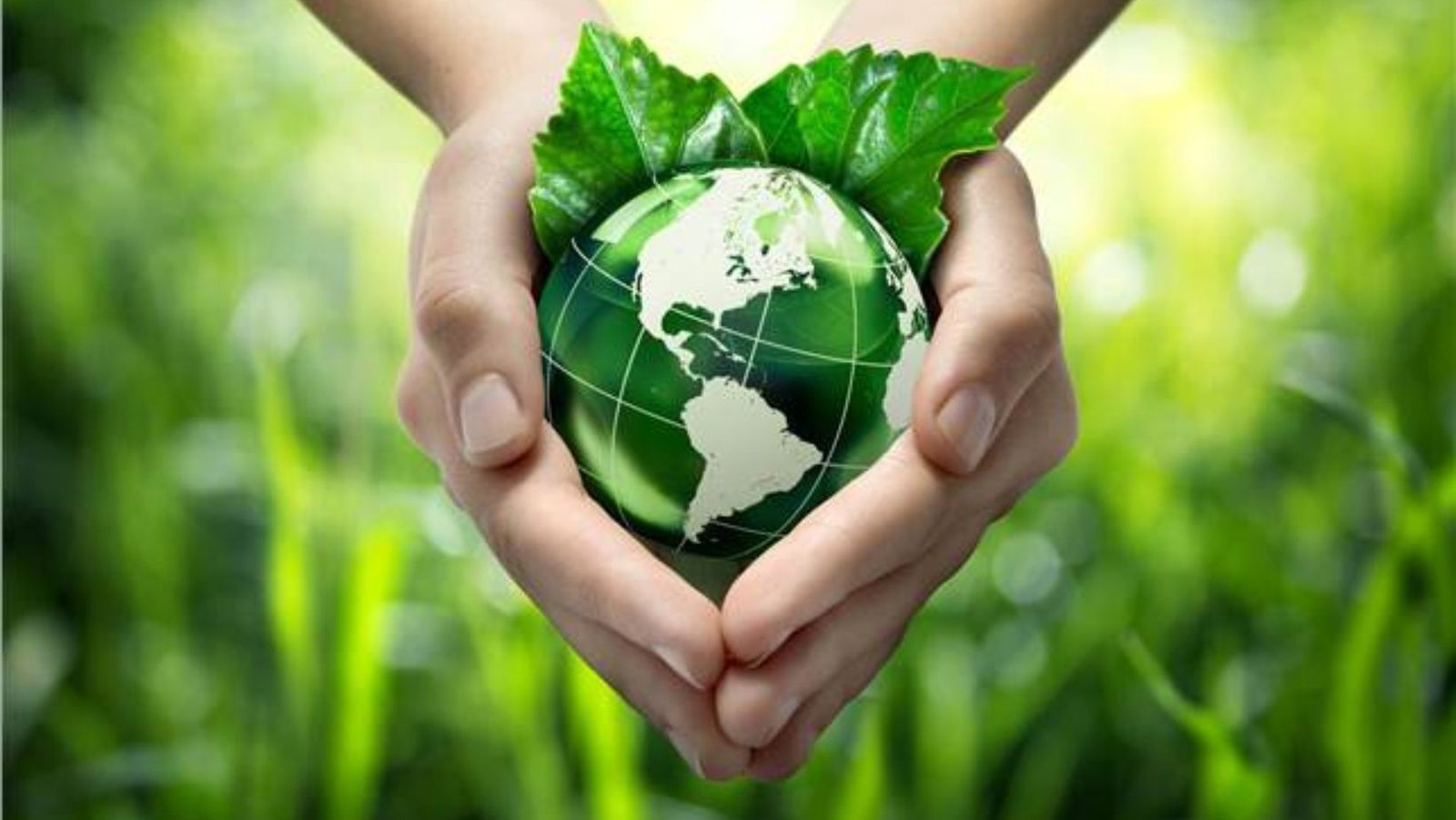 World Environment Day2022