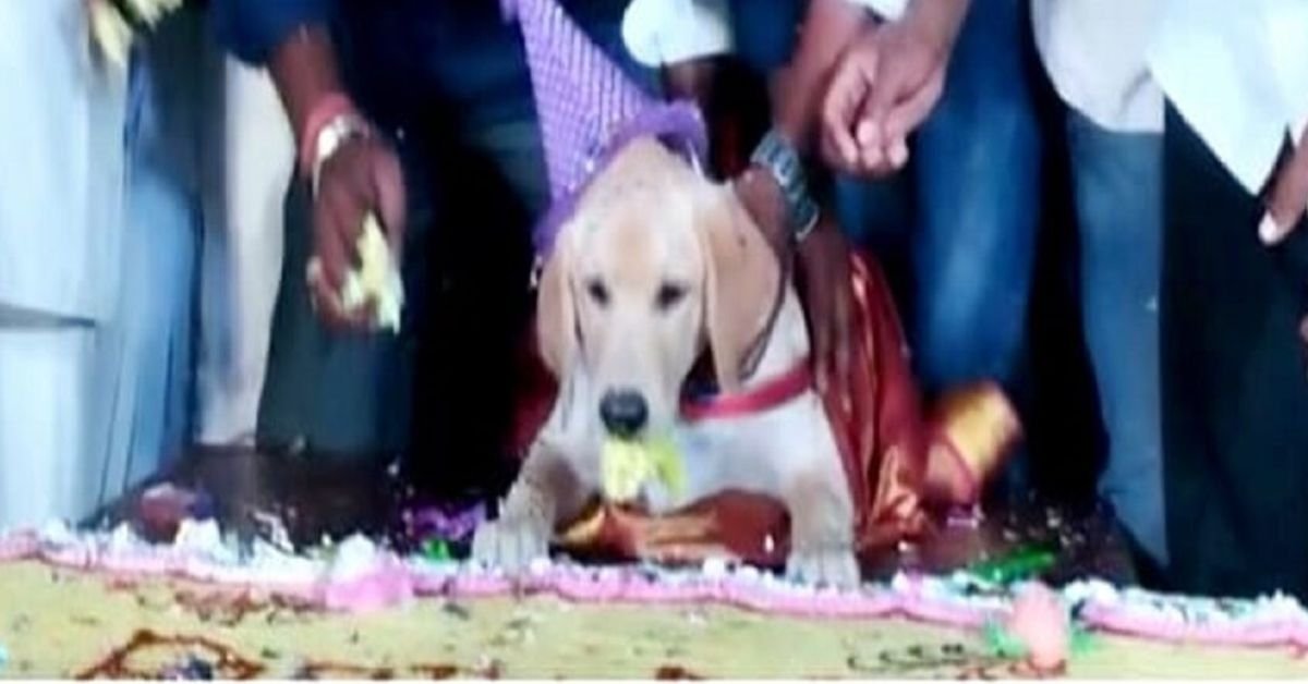 Man celebrates dog’s birthday