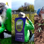 Mitti Bachao Andolan