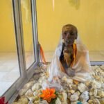 Story of 550 year ago Mummy