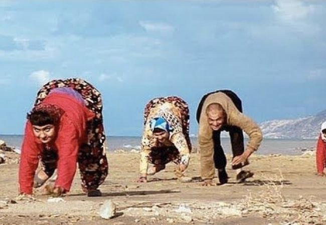 Family walk like animals