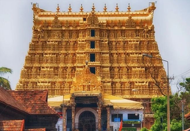 Vegetarian Crocodile