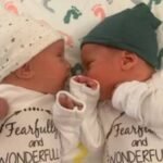 Embroys Frozen 30 Years