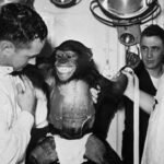 America first space monkey