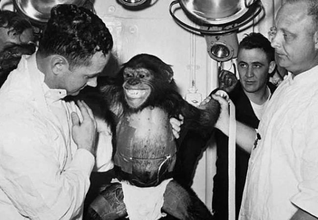 America first space monkey