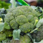Broccoli side effects