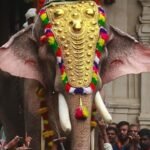 Thechikottukavu Ramachandran Elephant
