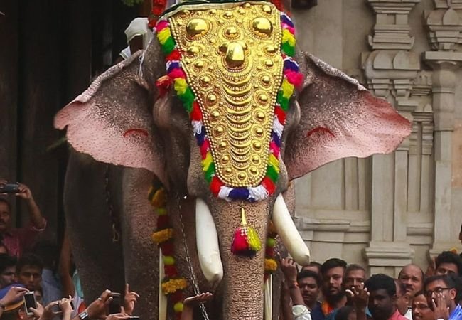 Thechikottukavu Ramachandran Elephant