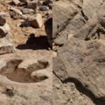 Jaisalmer attracts tourists