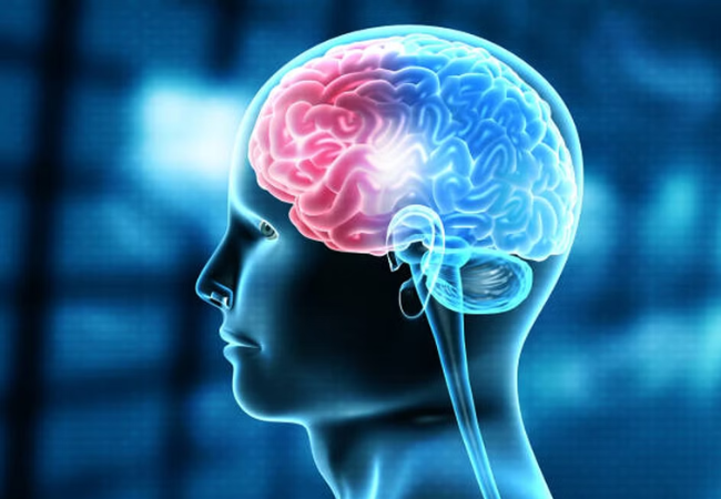 Temperature of Brain