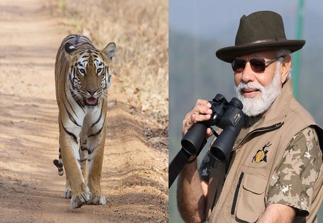 Bandipore Tiger Reserve