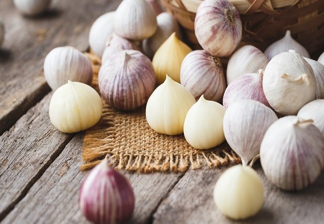 Healthy Garlic