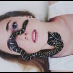 Snakes in dream meaning
