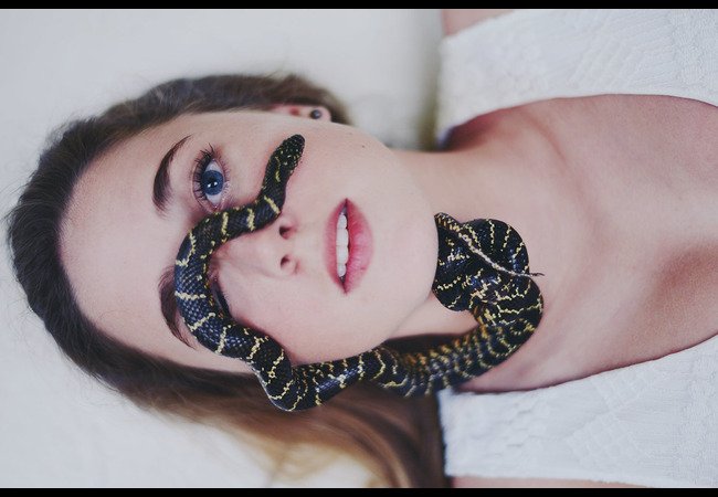 Snakes in dream meaning