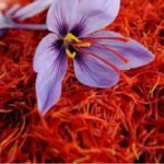 Kashmiri Saffron