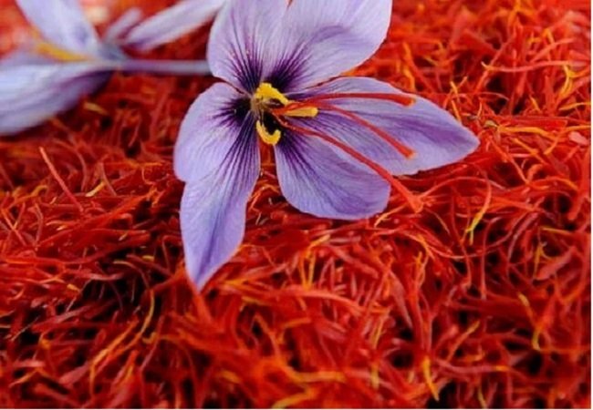 Kashmiri Saffron