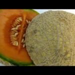 Muskmelon Seeds Benefits