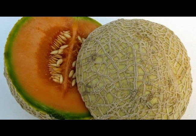Muskmelon Seeds Benefits