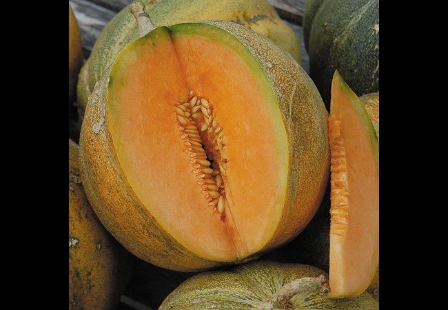 Muskmelon Seeds Benefits