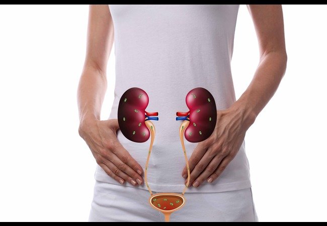 Urine Infection Symptoms