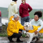 Travel with pet in monsoon