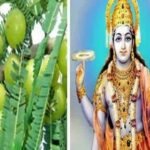 Amla Navami