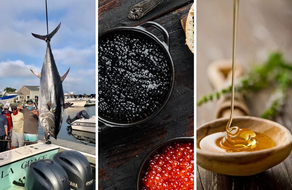 Most Expensive food in world