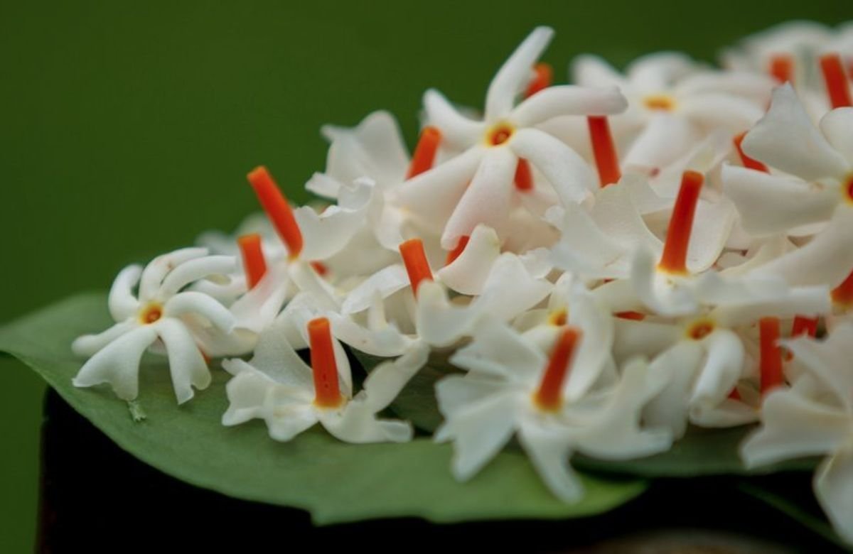 Vastu Tips for Wealth