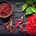 Hibiscus Flowers Reuse