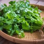 Coriander Benefits