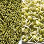 Mung Bean Benefits