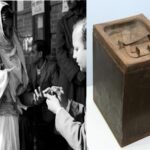 Vikroli Contribution