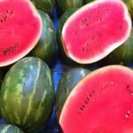 Watermelon