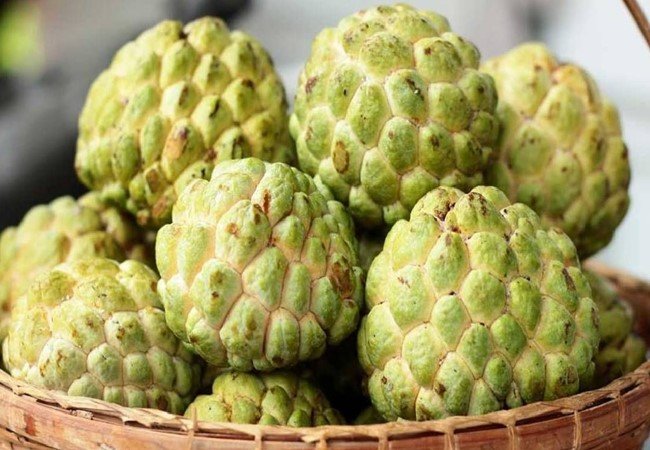 Custard Apple
