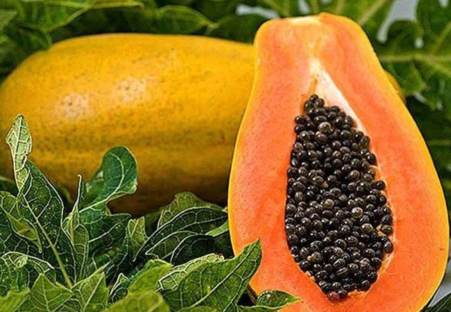 Papaya Benefits