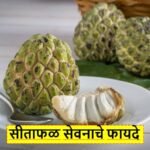 Custard Apple