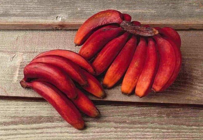 Red Banana