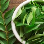 Curry Leaves