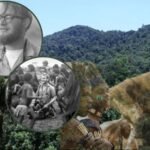 Michael Clarke Rockefeller