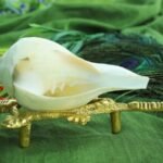 Dakshinavarti shankha