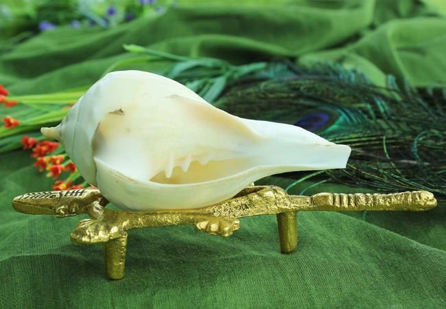 Dakshinavarti shankha