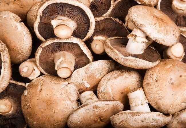 Top Marathi Headlines