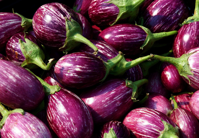 Brinjal