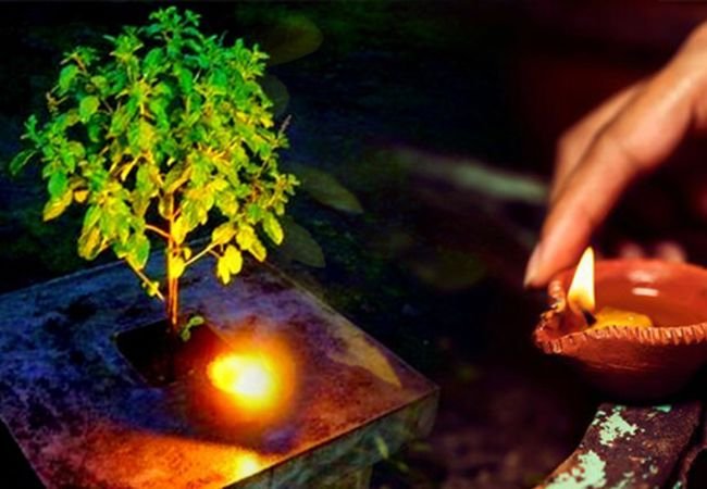 Tulsi Puja