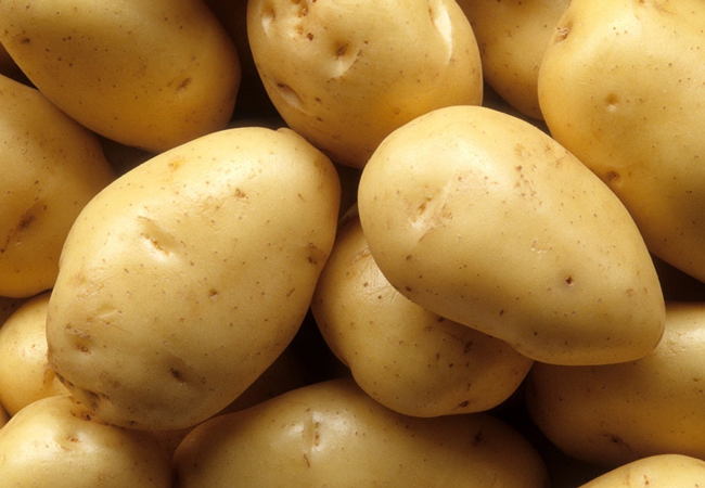 Potato